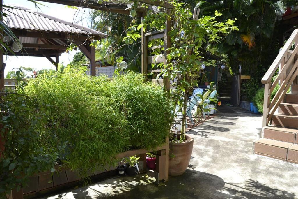 Bungalow Bananier Trois-Rivières Εξωτερικό φωτογραφία